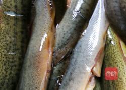 香麻酥泥鳅的做法图解1