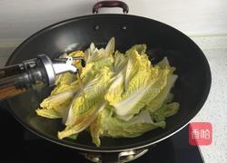 冻豆腐炖娃娃菜的做法图解5