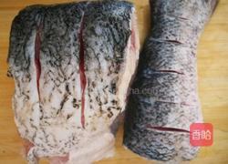 红烧胖头鱼的做法图解2