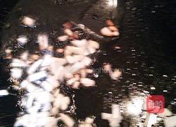 香菇油菜的做法图解9