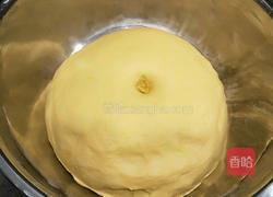 春天来了花开富贵黄金南瓜面点的做法图解7