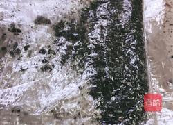 坚果蓝莓酸奶的做法图解3