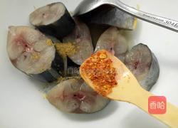 香煎鲅鱼的做法图解5