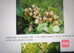 干贝山药豆炖汤的做法图解5