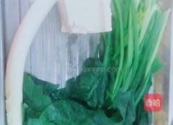 菠菜炖豆腐粉条的做法图解1