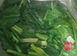 菠菜炖豆腐粉条的做法图解4