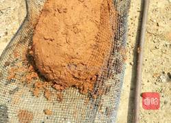 自制研究的叫花鸡的做法图解7