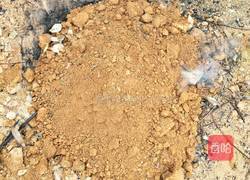 自制研究的叫花鸡的做法图解9