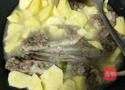 大鹅炖土豆的做法图解9