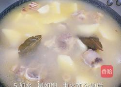 炖牛尾的做法图解5