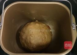 红枣枸杞软欧包的做法图解6