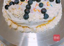 蓝莓奶油蛋糕的做法图解7