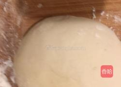 “芨芨菜”学名“荠菜 ”俗名“地地菜”的做法图解3