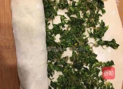 “芨芨菜”学名“荠菜 ”俗名“地地菜”的做法图解7