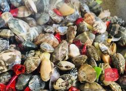 辣炒花蚬子的做法图解4