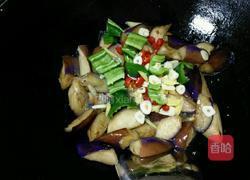 红烧茄子的做法图解7