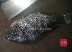 清蒸罗非鱼的做法图解1
