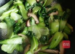 香菇炒油菜的做法图解10