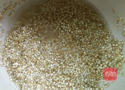 藜麦苹果粥的做法图解2