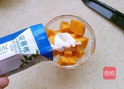 芒果酸奶杯的做法图解4