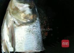 小番茄蘑菇花鲢鱼头汤的做法图解3