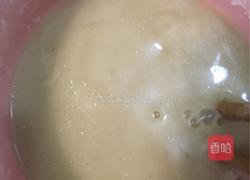 糖醋鱼块的做法图解6