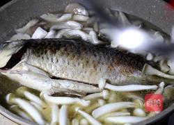 鲜菇鲫鱼汤的做法图解5