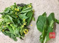 ~蚝油蒜泥田野油菜花的做法图解2