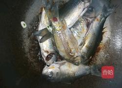 红烧鲫鱼的做法图解3