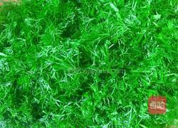 茴香猪肉水饺的做法图解7