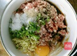 彩色馄炖的做法图解5