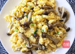 杏鲍菇炒蛋的做法图解7