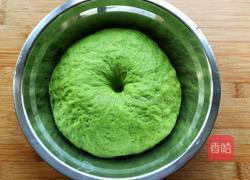 绿叶豆沙包的做法图解6
