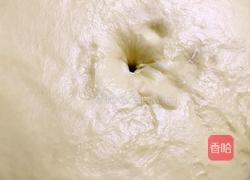 杨梅酱肉松包的做法图解6