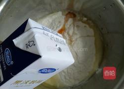 家庭版小麻花的做法图解2