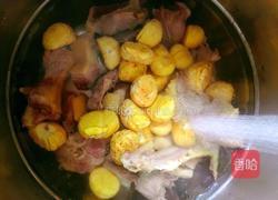 板栗老鸭汤的做法图解6