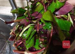 春季野菜~凉拌折耳根（叶）的做法图解5