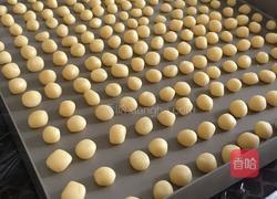奶香小馒头的做法图解4