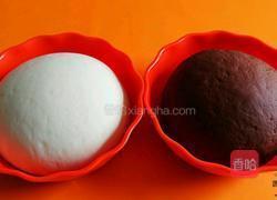 双色花卷的做法图解4