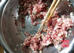 白萝卜肉馅饺子的做法图解12