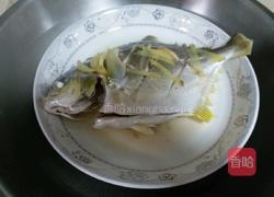 清蒸鲳鱼的做法图解5
