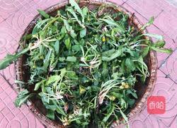 蒲公英炒鸡蛋的做法图解6