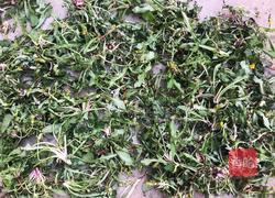 蒲公英炒鸡蛋的做法图解7