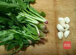 清炒菠菜的做法图解1