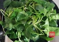 蒜蓉菠菜的做法图解2