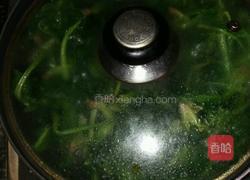 蒜蓉菠菜的做法图解4