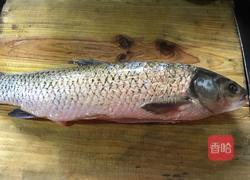 砂锅焖鱼块的做法图解1