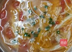 番茄金针菇牛腩汤的做法图解10