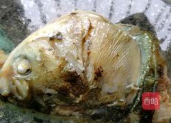 黄豆鱼头汤的做法图解5