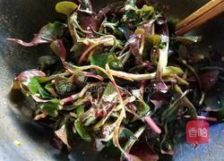 凉拌鱼腥草（叶）的做法图解6